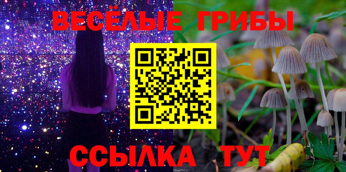 Тара  Галлюциногенные грибы Cubensis  даркнет сайт  Галлюциногенные грибы Magic Shrooms  Вход с VPN 